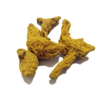 New Crop Dehydrated Turmeric Whole With Best Quality